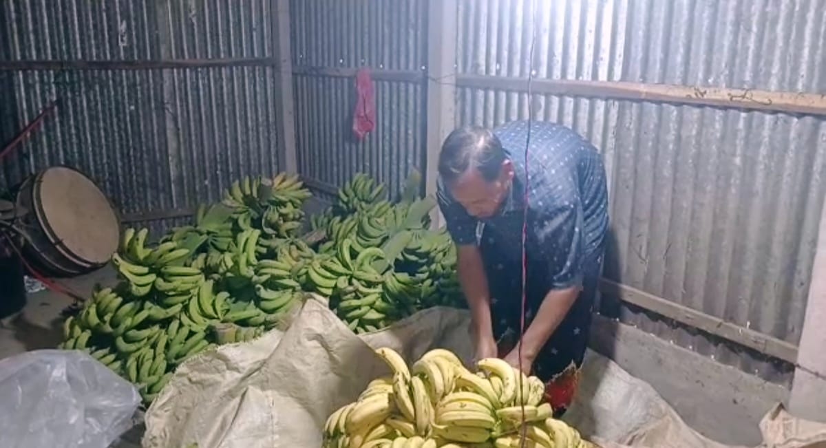 WhatsApp Image 2026-03-05 at 2.46.29 PM