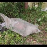 WhatsApp Image 2026-04-16 at 3.48.30 PM